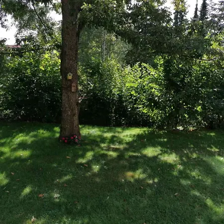 Momo 公寓 兹拉蒂博尔