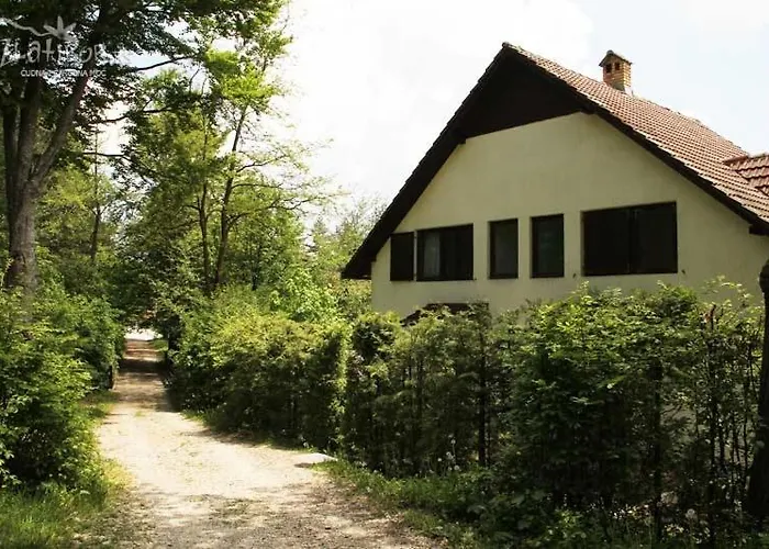 Momo 兹拉蒂博尔