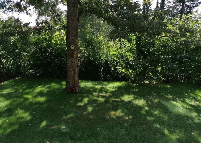 Momo 公寓 兹拉蒂博尔