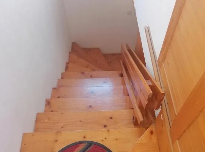 Momo * 兹拉蒂博尔