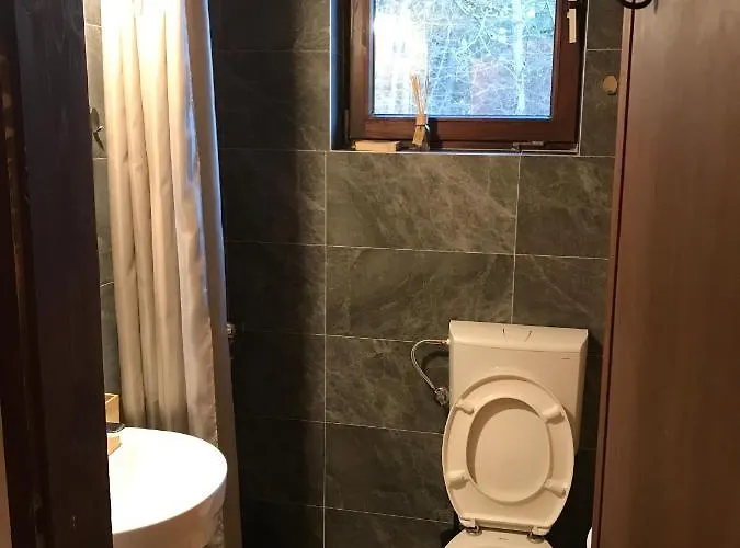 Momo 兹拉蒂博尔