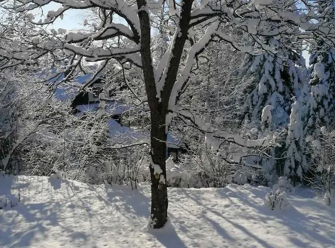아파트 Momo 즐라티보
